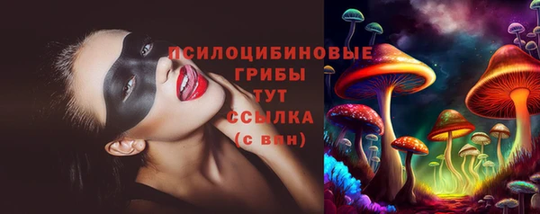 метадон Белокуриха