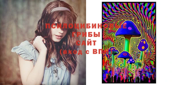 метадон Белокуриха