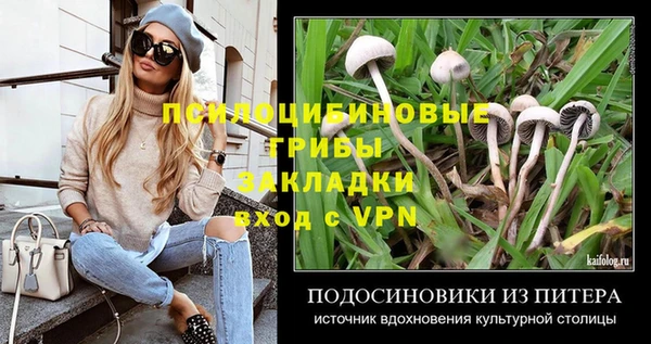 бошки Белоозёрский